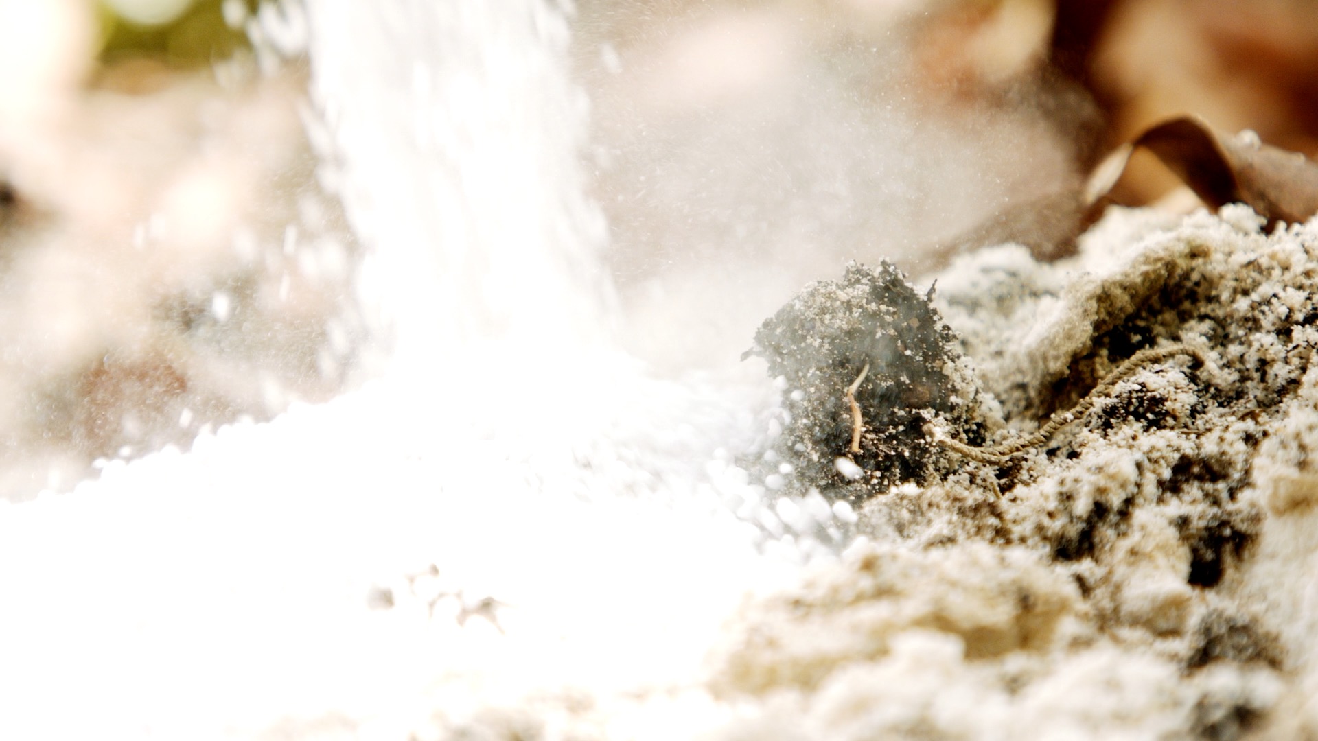 fertilizzanti agricoltura