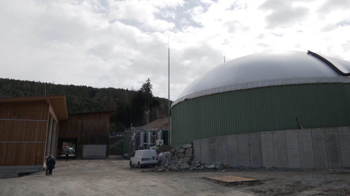 Riscaldare l’Alto Adige con il letame delle mucche: attivo un nuovo impianto di biometano