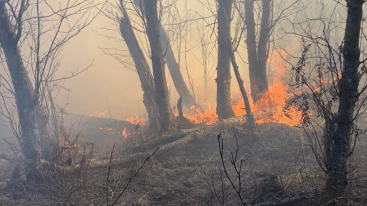 incendio-campiglio-aspect-ratio-1200-675