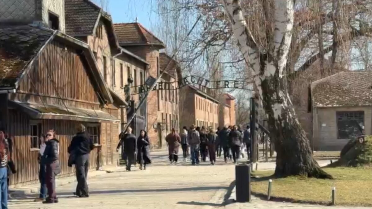 promemoria-auschwitz-scaled-aspect-ratio-1200-675