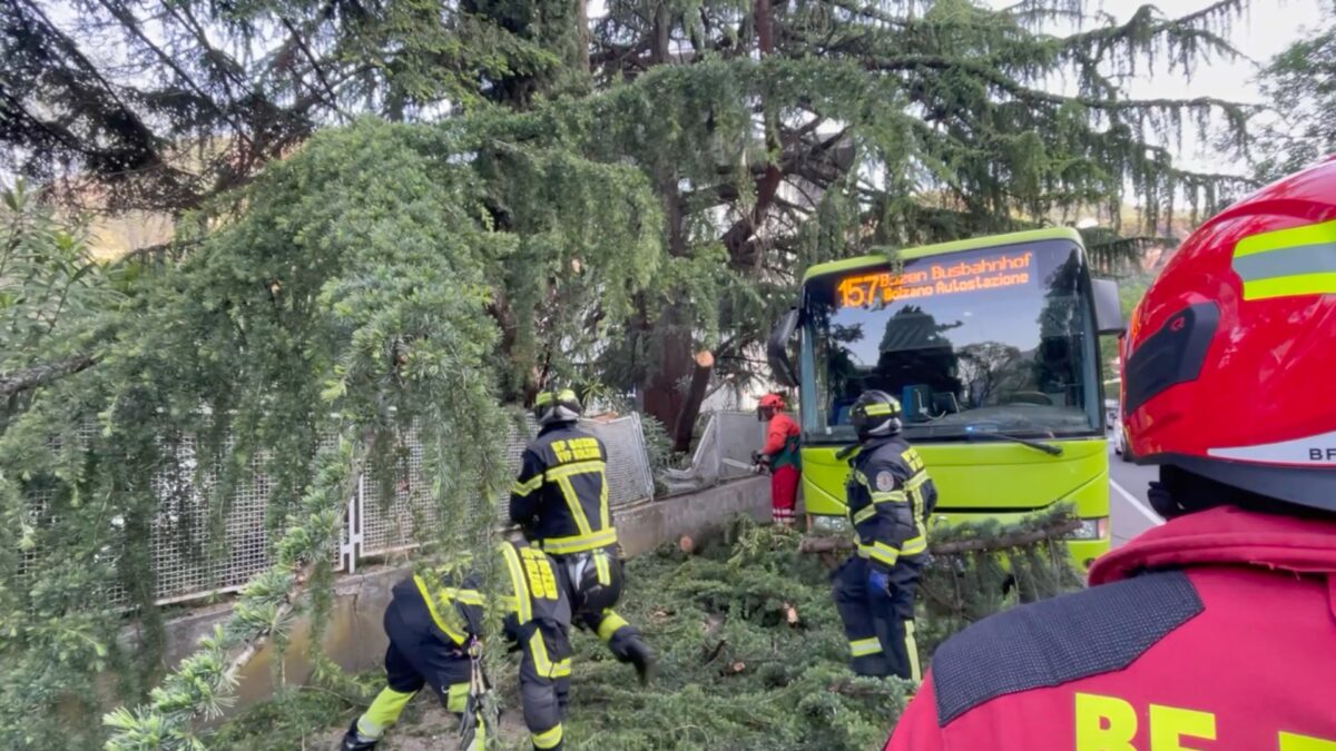 Bolzano: ramo crolla in via Cadorna, colpito un bus