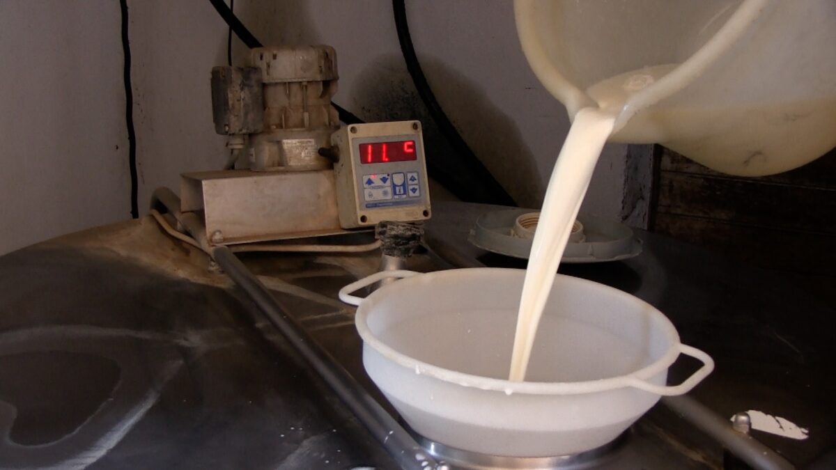 Il bilancio di Latte Trento tiene, ma la crisi del settore è profonda