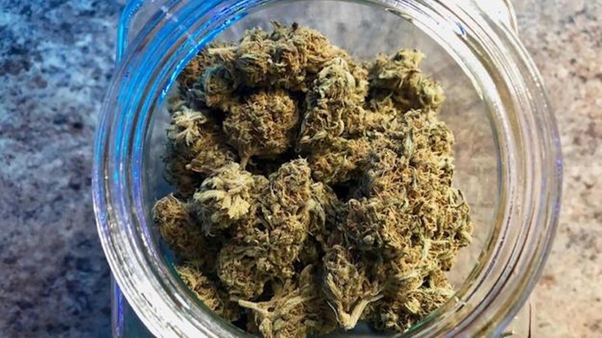 FOTO-ledro-hashish-in-casa-aspect-ratio-1200-675