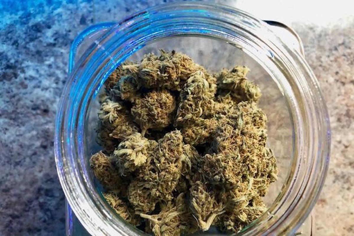 FOTO ledro hashish in casa