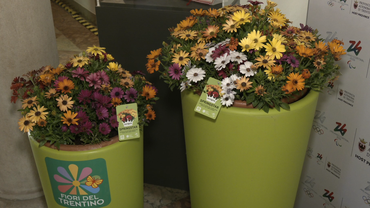 Svelata la pianta 2026 dell’Euregio