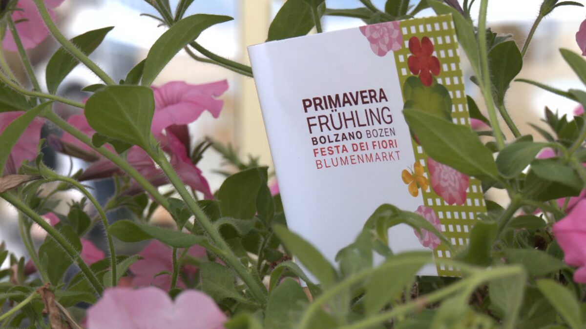 Colori e profumi in piazza Walther a Bolzano con la Festa dei Fiori