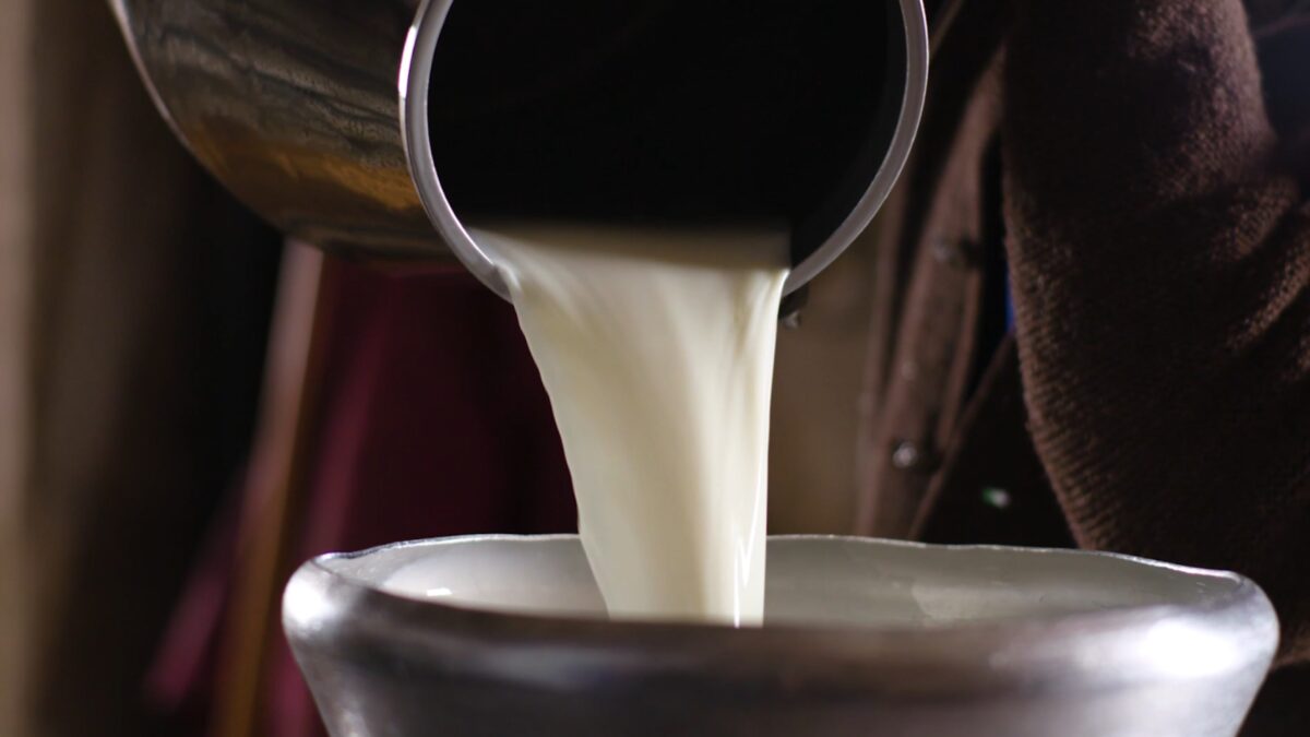 latte-scaled-aspect-ratio-1200-675