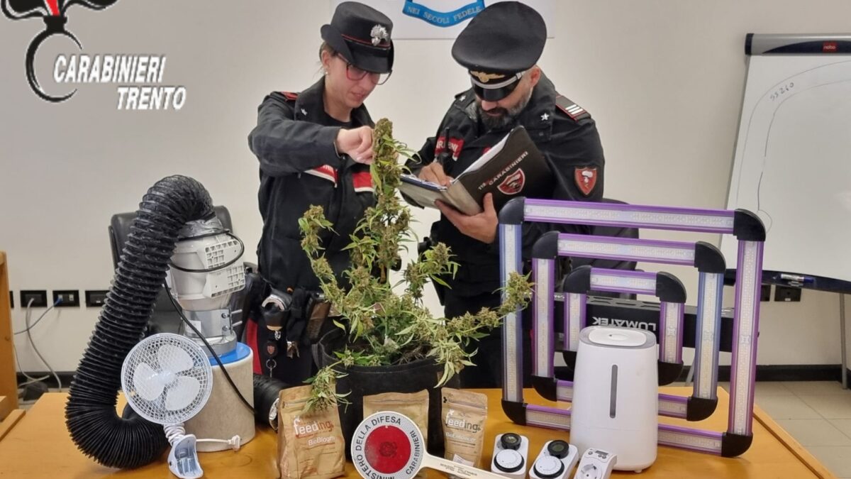 FOTO-coltivazione-cannabis-aspect-ratio-1200-675