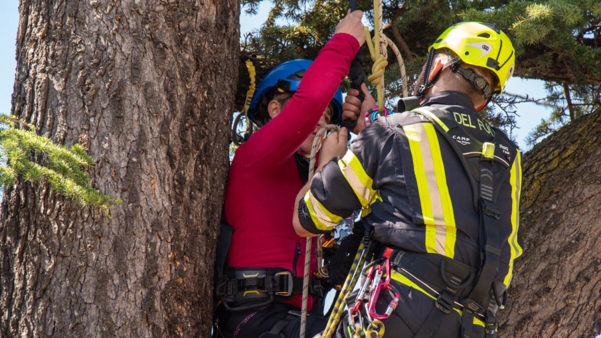 Vigili del Fuoco volontari del Trentino protagonisti oggi in piazza Dante