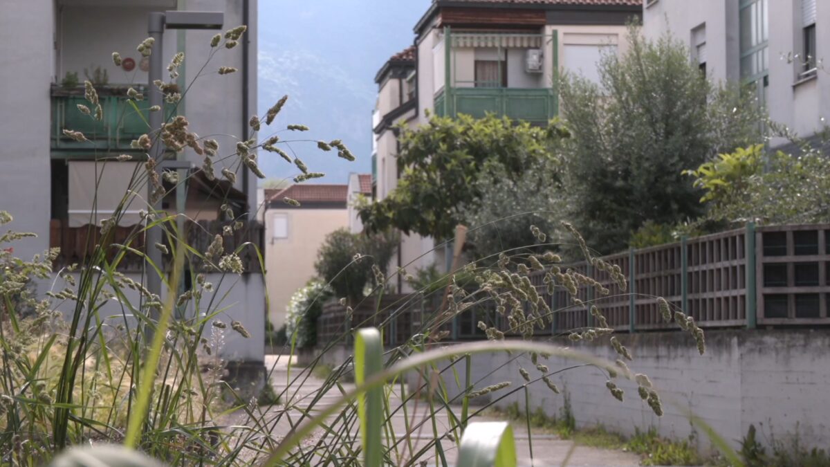 Screenshot-2026-05-12-alle-18.03.03-scaled-aspect-ratio-1200-675
