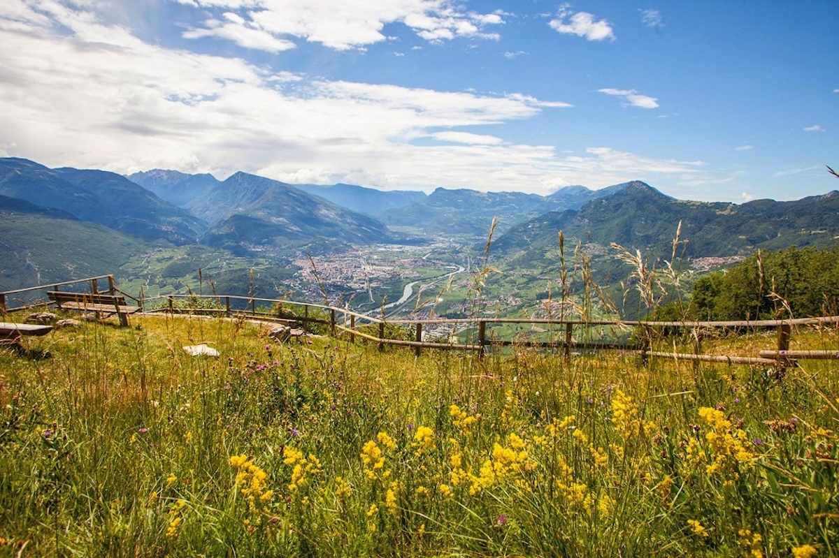 FOTO sbatte la testa gravissimo