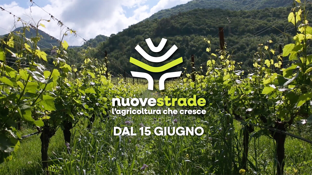 Nuove Strade