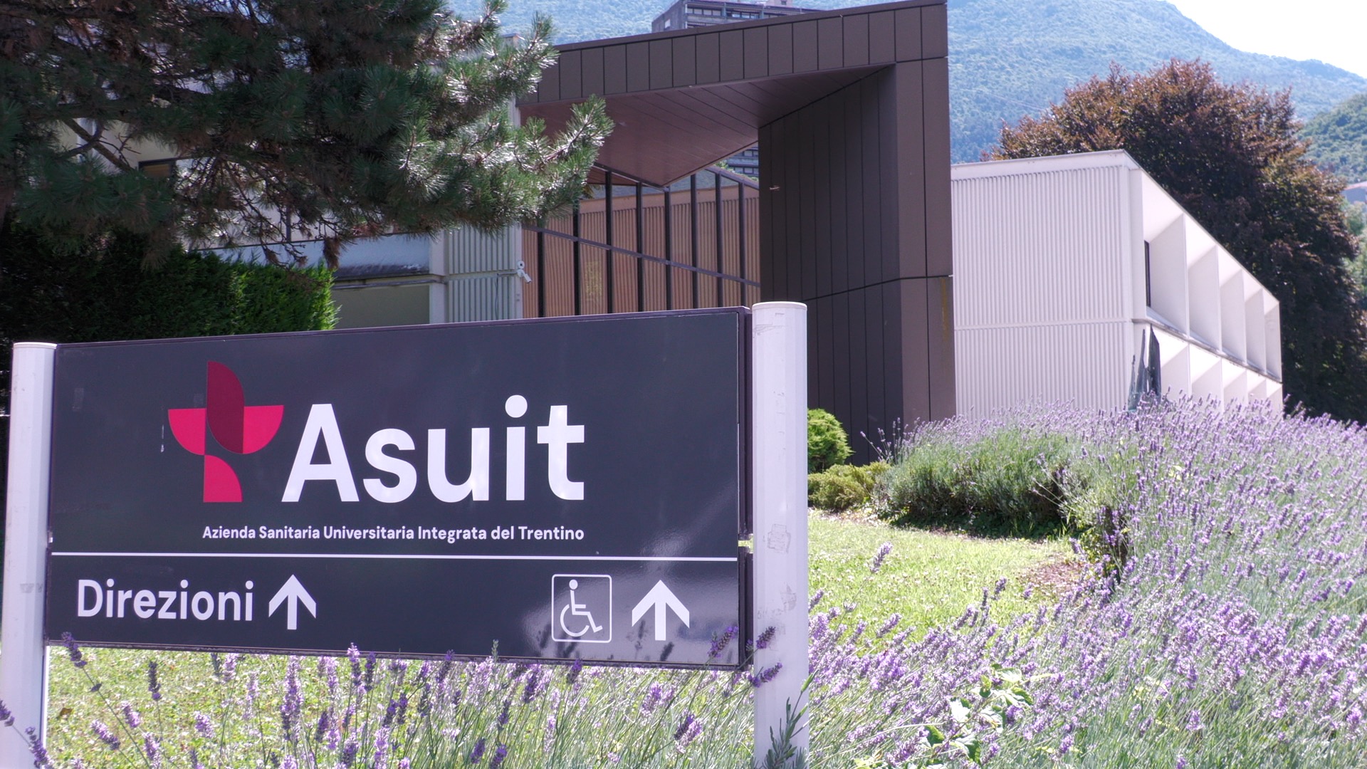 asuit trento