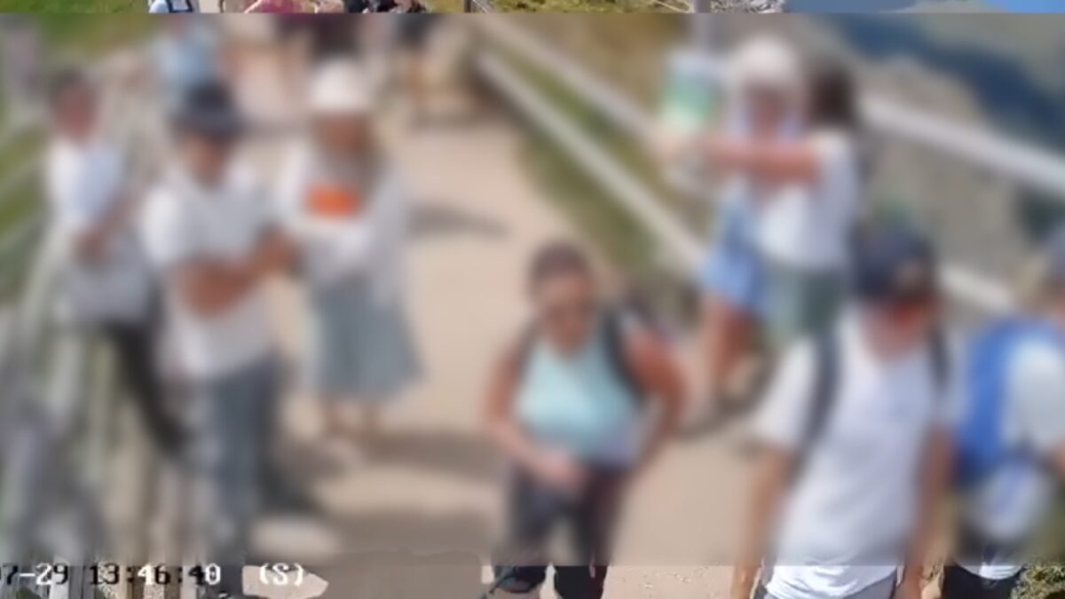 Screenshot-2026-08-01-alle-13.54.52-scaled-aspect-ratio-1200-675