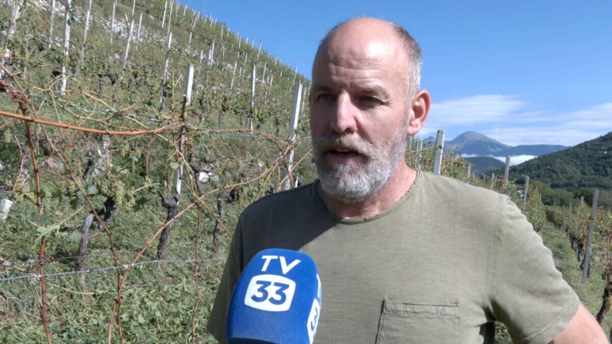 Maltempo in Valle Isarco, raccolto in fumo. Gli agricoltori: “Mai vista una grandinata così”
