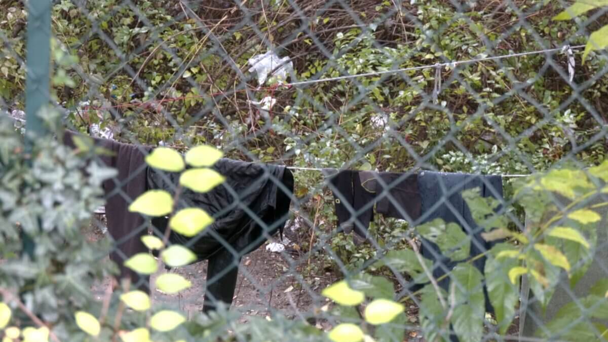 Emergenza freddo: i Verdi chiedono un piano strutturato